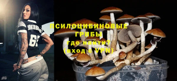 PSILOCYBIN Балахна